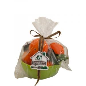 AGRUMI DELLA SOLIDARIETÀ